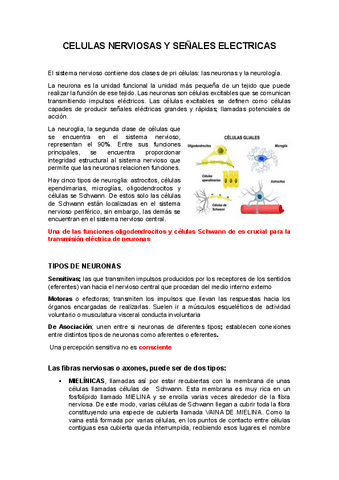 CELULAS-NERVIOSAS-Y-SENALES-ELECTRICAS-1-1.pdf