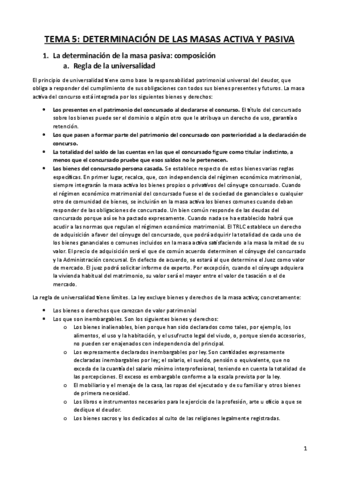 Tema-5-Derecho-Concursal.pdf