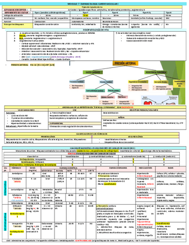 Resumen-FINAL-en-formato-de-tablas.pdf