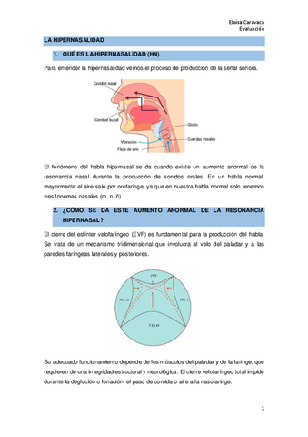 HIPERNASALIDAD.pdf