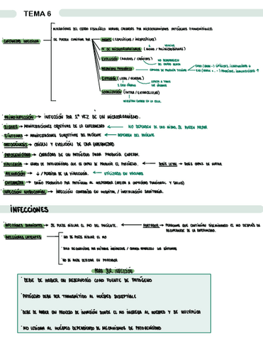 TEMA-6-MECANISMOS-DE-PATOGENICIDAD.pdf