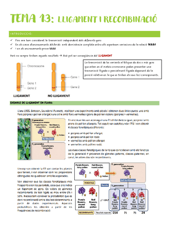 Genetica-2n-Parcial-Tema-13.pdf