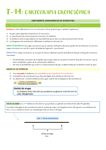 Genetica-2n-Parcial-Tema-14.pdf