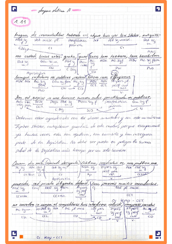CAP-11.pdf