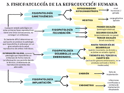 embriones-triploides-trabajo.pdf