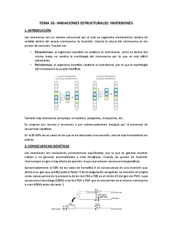 Tema 10.-Inversiones.pdf