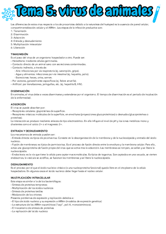 TEMA-5.pdf