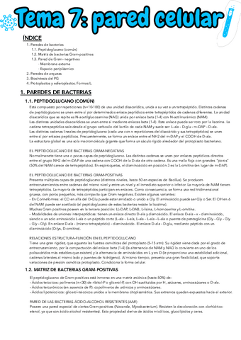 TEMA-7.pdf