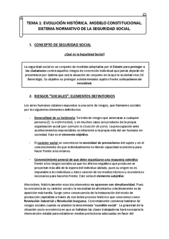 Tema-1-Derecho-Proteccion-Social.pdf