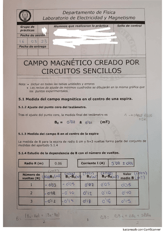 Campos-magneticos-creados-por-circuitos-sencillos.pdf