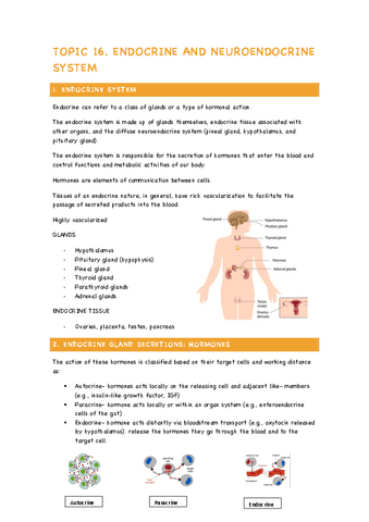 TOPIC-16-Endocrine-and-Neuroendocrine-system.pdf