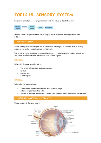 TOPIC-15-Sensory-system.pdf