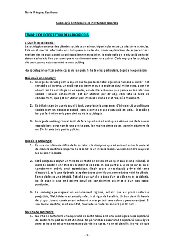 Sociologia-RRLL-Completo.pdf