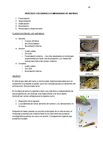 PRACTICA-1-DESARROLLO-EMBRIONARIO-DE-ANFIBIOS.pdf