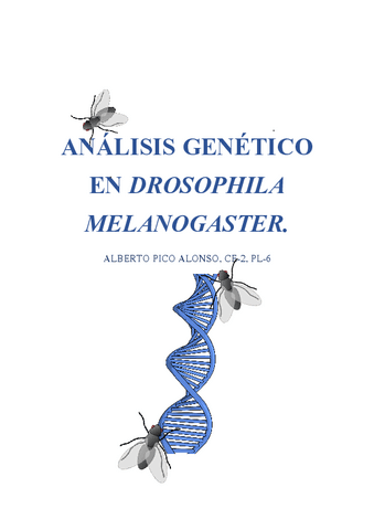 Trabajo-Drosophila-melanogaster.pdf