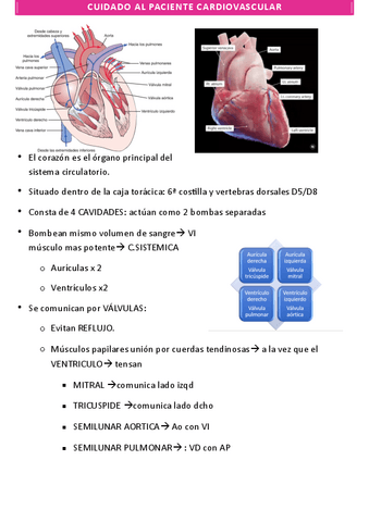 CARDIO.pdf