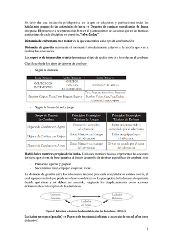 Resumen-lectura-iniciacion-deportes-de-combate.pdf