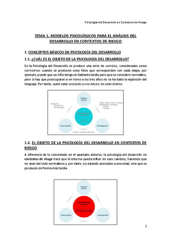 Tema-1-Psicologia-del-Desarrollo-en-Contextos-de-Riesgo.pdf