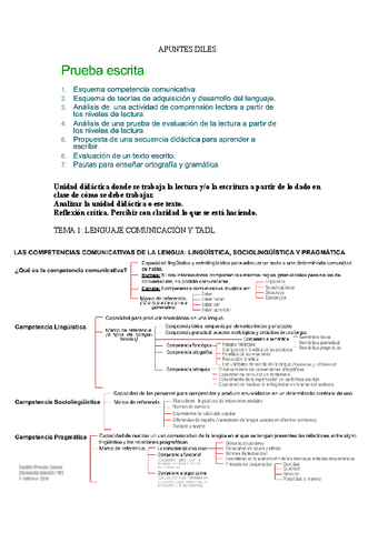 APUNTES-DILES.docx.pdf