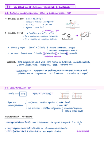 IPAV.-Resumen-Tema-2.pdf