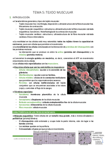 TEMA-5.-TEJIDO-MUSCULAR.pdf