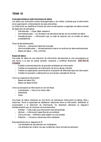 TEMA-10-FUNDAMENTOS.pdf