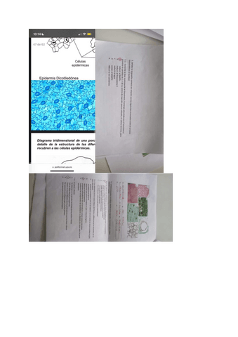 examenes-biologia.pdf