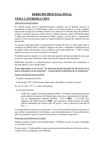 DERECHO-PROCESAL-PENAL.pdf