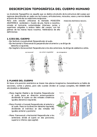 Nociones-generales-de-anatomia-planos-de-posicion.pdf