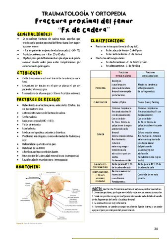 FRACTURA-DE-CADERA.pdf