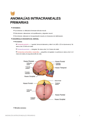 Anomalias-intracraneales-primarias.pdf