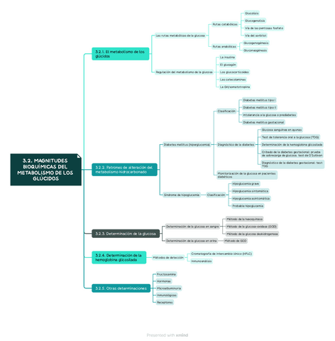 Esquema metabolismo de los glúcidos | U3 - Magnitudes: metabolismo de principios inmediatos.pdf