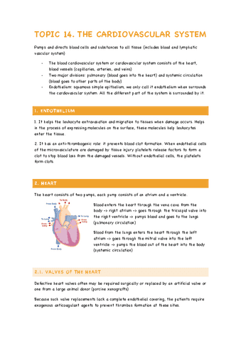 TOPIC-14-cardiovascular-system.pdf