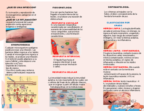 INFLAMACION-E-INFECCIONES..pdf