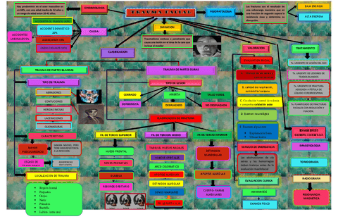 TRAUMA.FACIAL-.pdf