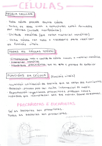 bio-celulas.pdf