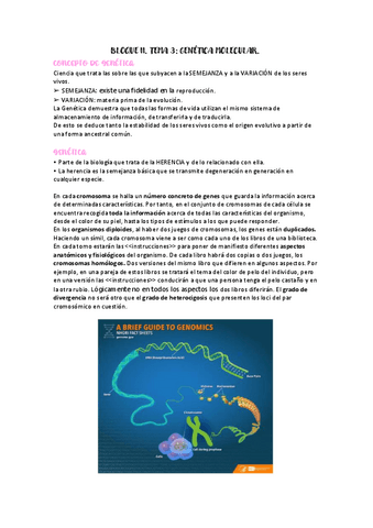 PSICOBIO-TEMA-3.pdf