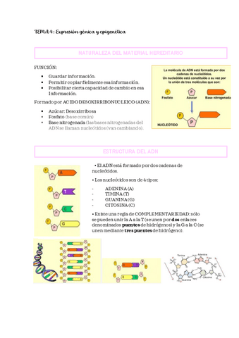 PSICOBIO-TEMA-4.pdf