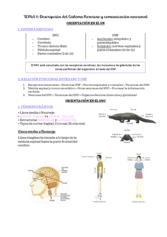 PSICOBIOLOGIA-II-TEMA-1.pdf