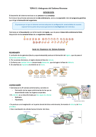 PSICOBIOLOGIA-II-TEMA-2.pdf