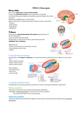 PSICOBIOLOGIA-II-TEMA-6.pdf