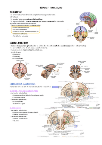 PSICOBIOLOGIA-II-TEMA-7.pdf