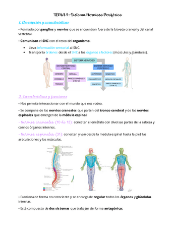 PSICOBIOLOGIA-II-TEMA-9.pdf