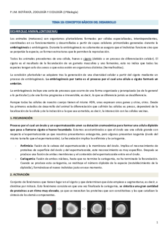 Tema 10. Conceptos Básicos del Desarrollo..pdf
