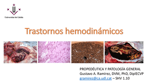 3.-Trastornos-hemodinamicos-final.pdf