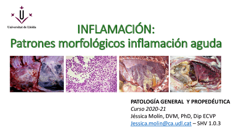 4.2.-Patrones-inflamacion-aguda-inflamacion-cronica.pdf