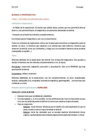 Pato-1r-parcial.pdf.pdf