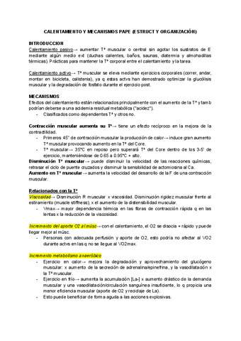 EFECTOS-PAPE.pdf