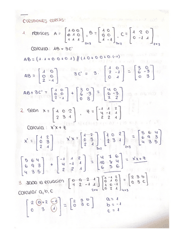 Cuestiones-cortas-con-solucion.-TEMA-1.pdf