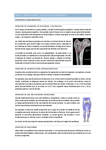 Temario-completo.pdf